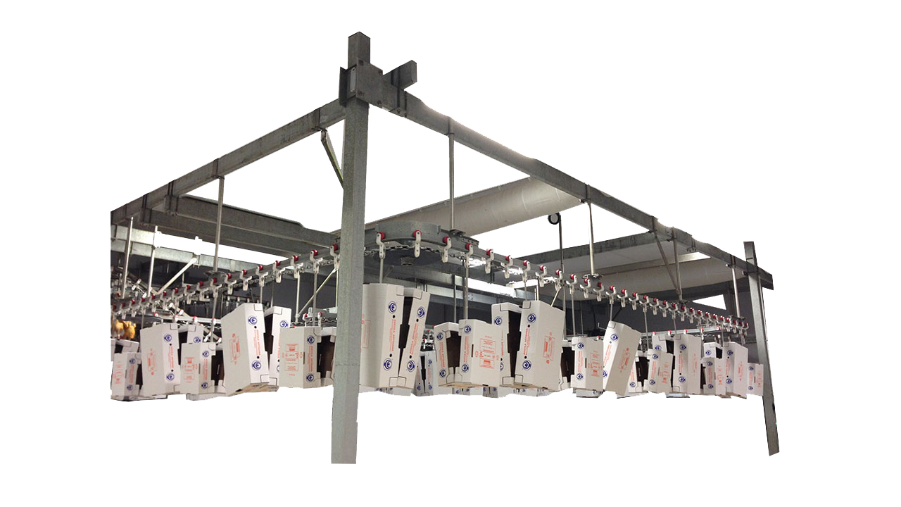 Boxes Conveyor